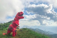 Maskiranje u dinosaurusa spasilo vozača od teških povreda