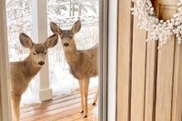 Ovoj porodici na terasu redovno dolaze jeleni, prizor kao iz bajke
