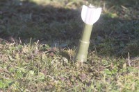 Banjalučanin u dvorištu porodične kuće pronašao tromblon