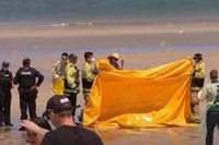 Srbin se utopio u Australiji pokušavajuću da spasi šestogodišnju kćerku