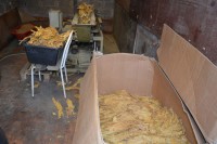 U Šamcu nađeno više od 550 kilograma duvana