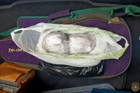 Akcija "Izvor": Šest lica uhapšeno zbog droge i oružja