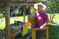 Оџић: Вријеме за детаљан преглед пчелињих друштава
