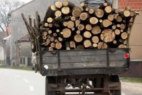 PU Doboj: Lani oduzeti drvni sortimenti u vrijednosti 100.000KM