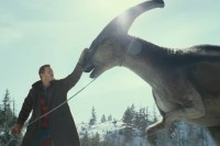 Izbor filmova na Festu koji neće stići u bioskope
