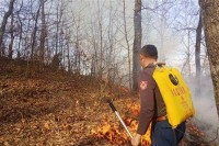 Ugašen požar u Podgori