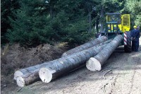 Osumnjičeni da su oštetili "Šume Srpske"  za 39.000 KM