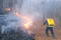 Ugašen veliki požar kod Milića
