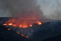 Aktivno više požara u Hercegovini, helikopter gasi vatru na području sela Zupci