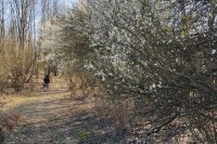 I danas sunčano i toplo vrijeme