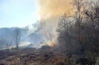 Pod kontrolom šumski požar kod Prnjavora, pričinjena velika šteta