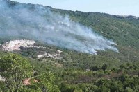 Gore trava i nisko rastinje kod Bosanskog Grahova