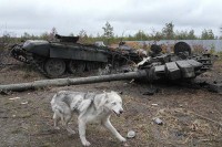 Рат у Украјини траје 38 дана.