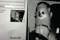 Najčudnija kazna za prekoračenje brzine stiže iz Njemačke, kamera uhvatila psa za volanom