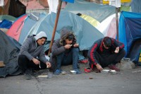 Minorne kazne krijumčarima migranata