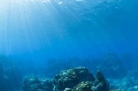 Naučnici na dnu Pacifika pronašli "put za Atlantidu"