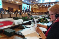 Turković: U Siriji i Iraku još 140 državljana BiH
