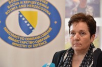 Pendeš: BiH šalje u svijet poruku kao nefunkcionalna zemlja
