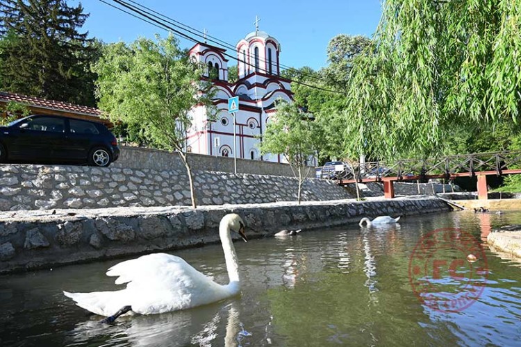 Manastir Tumane