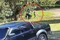 Pogledajte tučnjavu MMA trenera i kengura, Australac nakon šest minuta doživio teške povrede