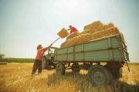 Najopuštenija strana Srbije - lakoća uživanja na salašu