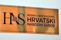 HNS: Nije bilo razloga za sankcije Čavari i za nametanje odluke o finansiranju izbora