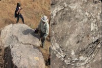 U Indiji pronađeno jaje dinosaurusa koje nikako ne liči na - jaje dinosaurusa