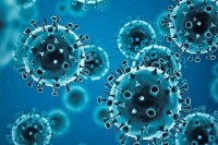 У Србији 312 новозаражених корона вирусом, умрле две особе