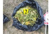Vojnik OS BiH pao sa pet kilograma droge