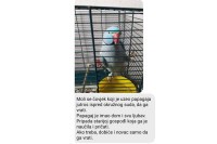 Оглас на "Фејсбук" страници Изгубљено пронађено