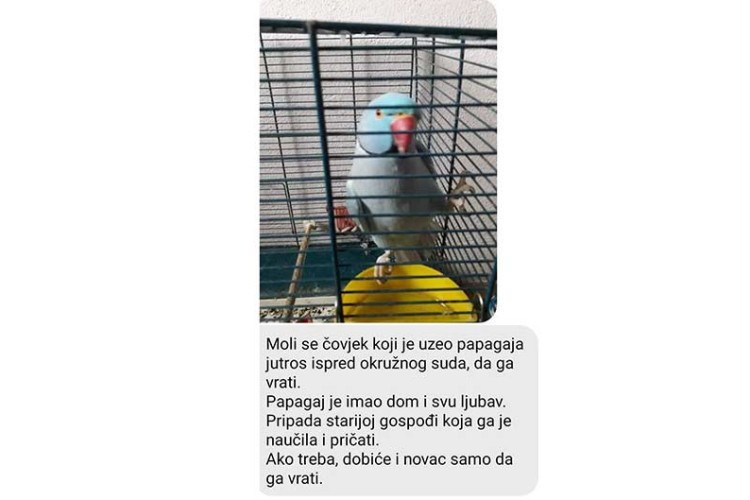 Оглас на "Фејсбук" страници Изгубљено пронађено