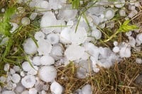 Grad veličine jajeta oštetio usjeve u Zvorniku