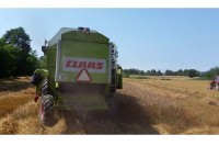 Zapucao zbog vršenja pšenice