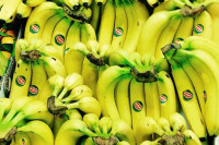 Znate li šta znače naljepnice na bananama i drugom voću, otkrivaju važne podatke