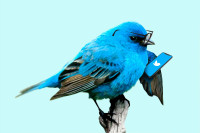 Twitter aplikacija sada i cvrkuće