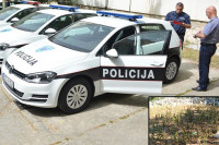 Policija u Ljubuškom otkrila plantažu marihuane vrijednu preko milion KM