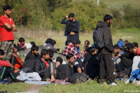 Državljani Hrvatske i BiH privedeni zbog krijumčarenja 250 migranata