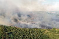 I dalje gori kod Trebinja - vatra zahvatila krš