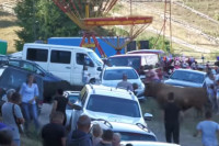 Bikovi probili ogradu na koridi u BiH, jedan čovjek povrijeđen