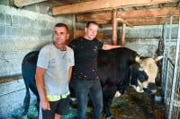 Dida RB u borbu na Manjači stiže bez poraza VIDEO