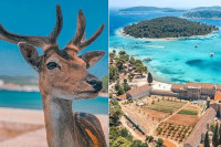 Zavirite na prelijepi hrvatski otočić gdje će vam na plaži društvo praviti jeleni