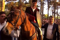 "Okršaj" Milanovića i konja Zena: Htio je samo jednu fotku