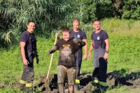 Nesvakidašnja nesreća: Dječak upao u živo blato, vatrogasci ga spašavali