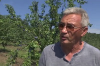 Radomir ima rudnike u Arizoni i živi pravi američki san, ali zavičaj ne zaboravlja