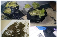 Oduzeto 19,2 kilograma marihuane, vlasnik u bjekstvu