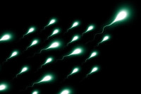 Da li ste znali da spermatozoidi „pamte“ događaje iz života muškarca, to može uticati na potomstvo