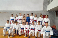 Šest medalja za višegradske karatiste