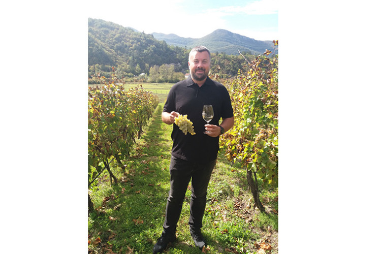 Počela berba grožđa u Carskim vinogradima „Podruma Vukoje 1982“