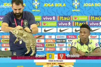 Mačka prekinula pres konferenciju Brazila, portparol je bacio sa stola, Vinisijus se smijao VIDEO