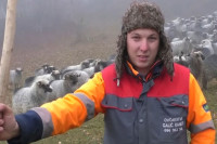 Nomad Ranko Galić (27)  na gazdinstvu ima 200 grla: Ovce draže od fotelje